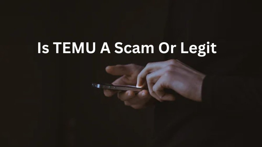 Is Temu Legit?,Services and Products Offered by Temu,Pros and Cons