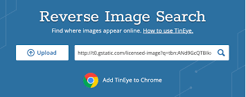 How To Perform A Reverse Image Search On Your Computer