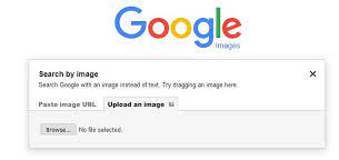How To Perform A Reverse Image Search On Your Computer