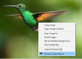 How to Conduct a Reverse Image Search Using Firefox