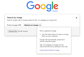 How to Perform a Reverse Image Search on Google
