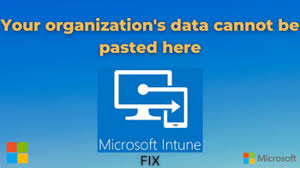 your organization's data cannot be pasted here